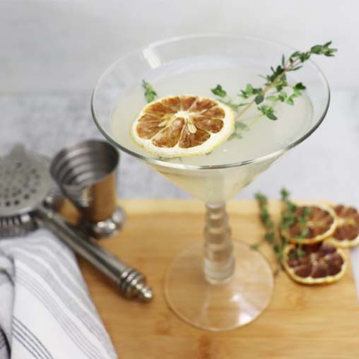 Cocktail with Premium Dried California Lemon Garnish