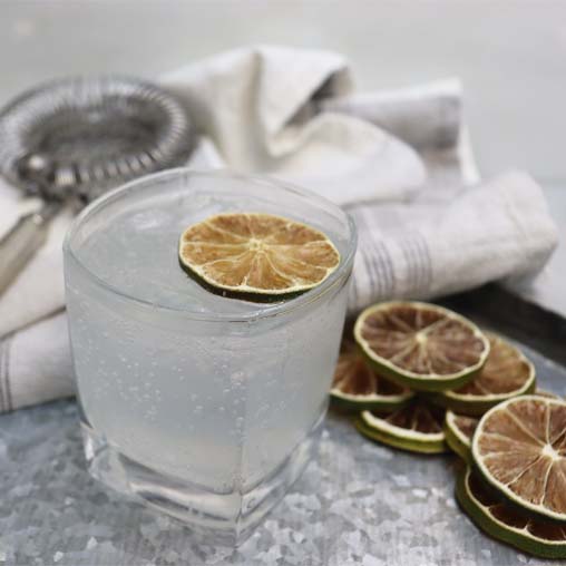 Cocktail with Premium Dried Lime Garnish_2