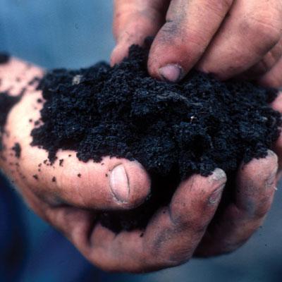 Traina Foods Hands Holding Soil